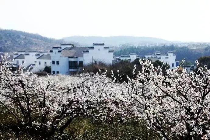 1月26日 狮子座满月(许愿指南)