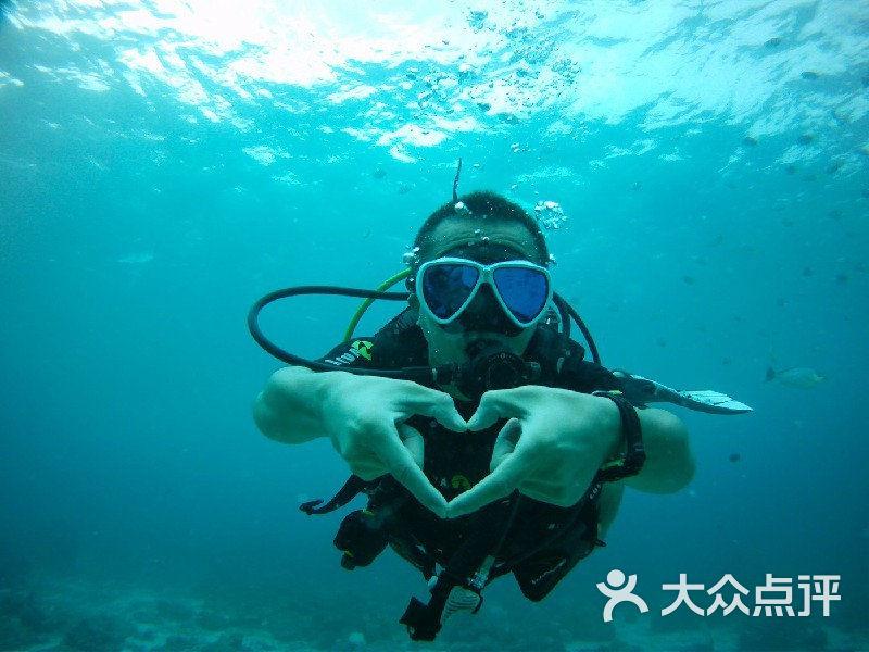 怪物大拼图