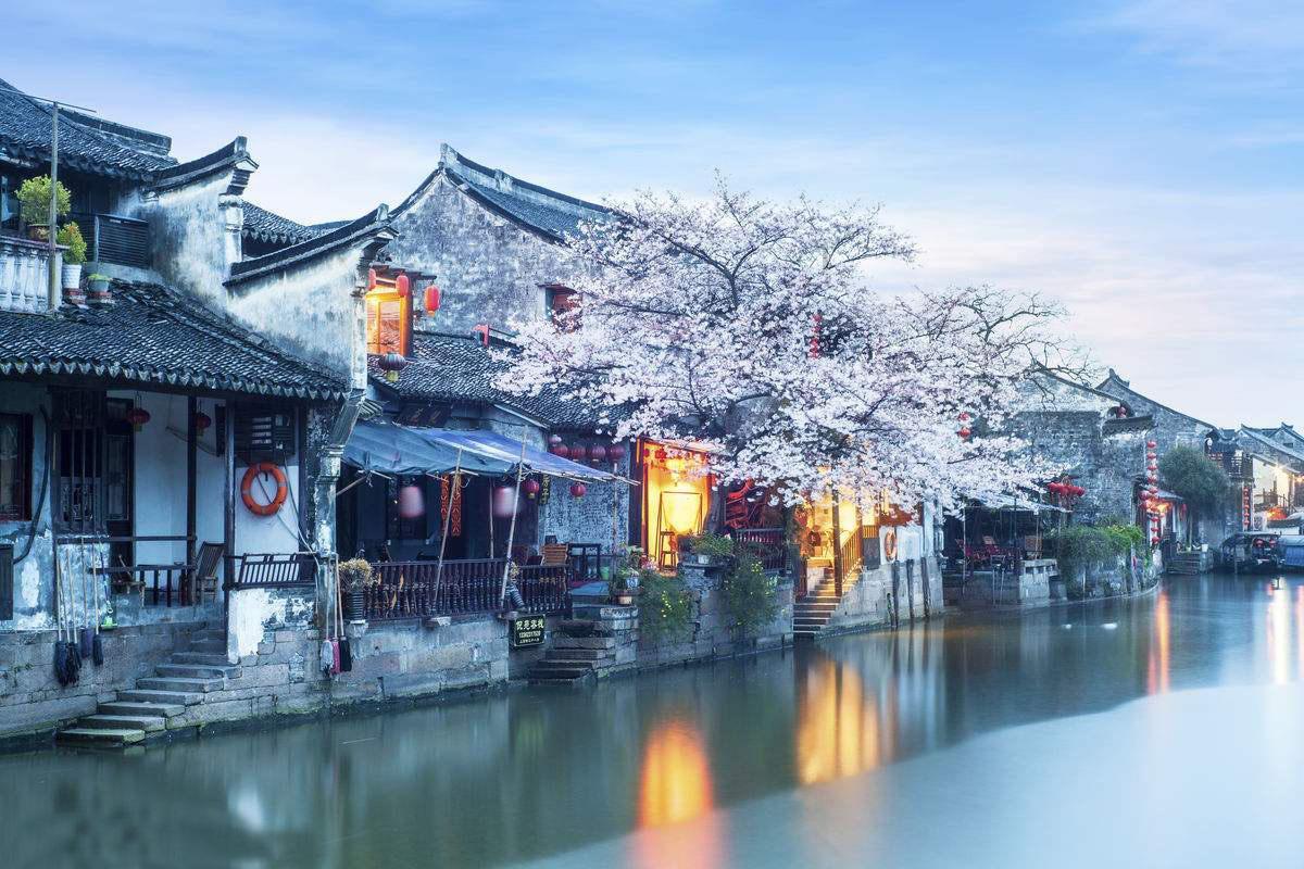 春雨直播app