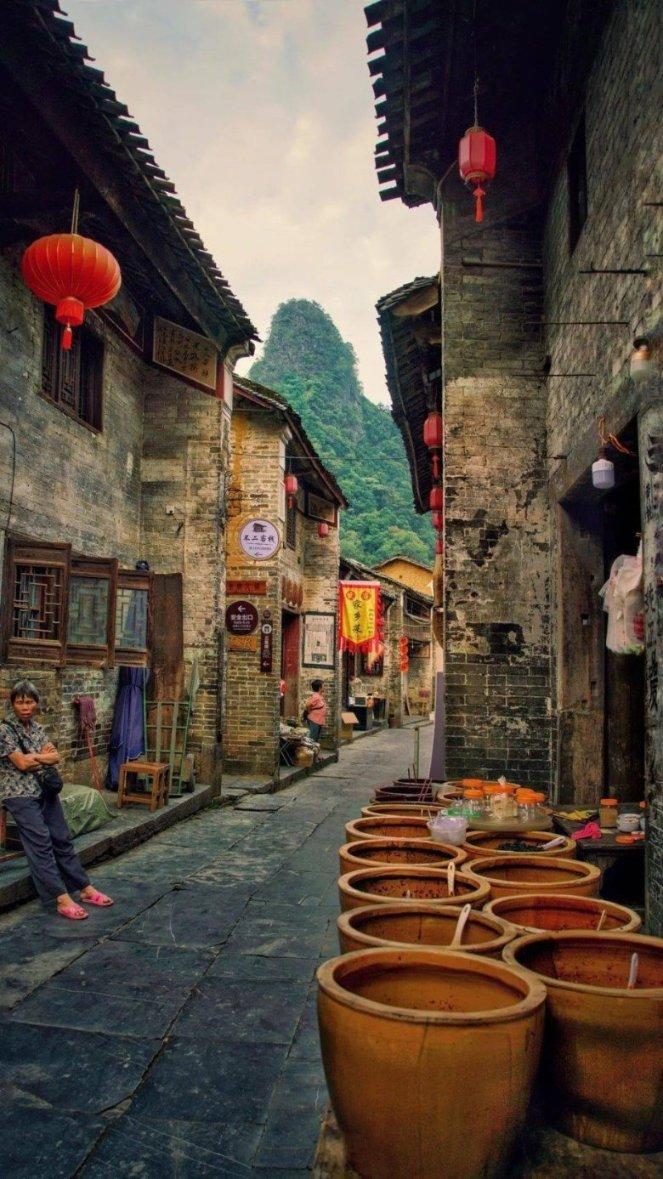 救援男孩与狗